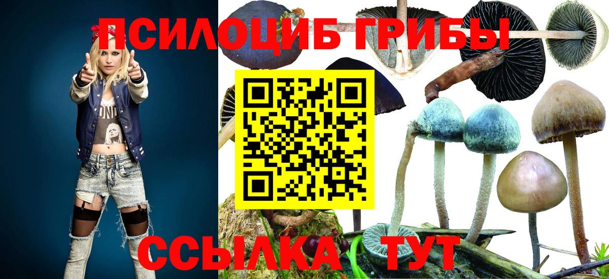 Гашиш  COCAIN  Марихуана  АМФЕТАМИН   Вольск  Вход с VPN  Меф МЯУ МЯУ кристаллы  Альфа ПВП СОЛЬ  