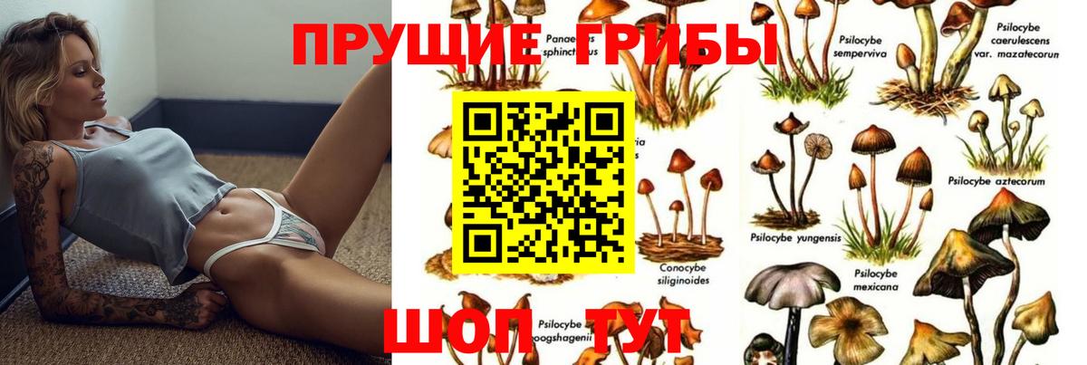 Псилоцибиновые грибы мухоморы Вольск